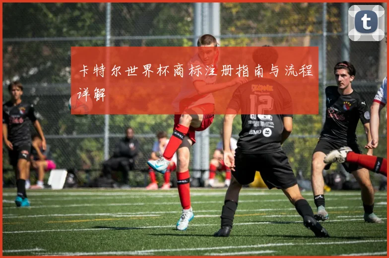 卡特尔世界杯商标注册指南与流程详解