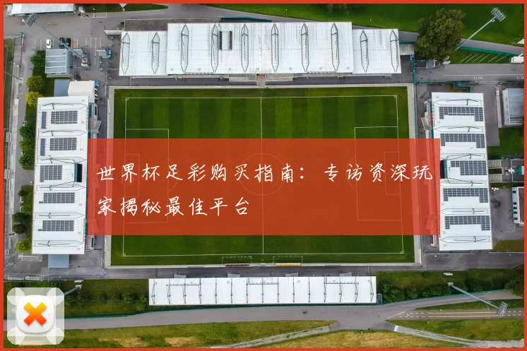 世界杯足彩购买指南：专访资深玩家揭秘最佳平台