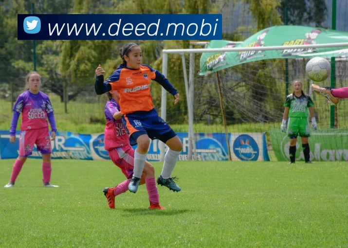 beat365唯一官网平台生态图