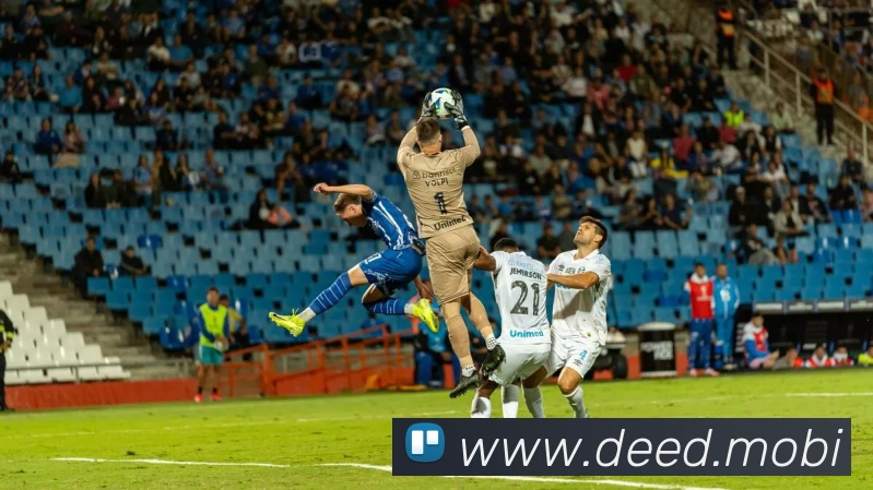 奖项图1